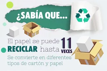 El papel se puede reciclar hasta 11 veces